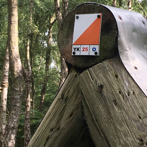 Orienteering